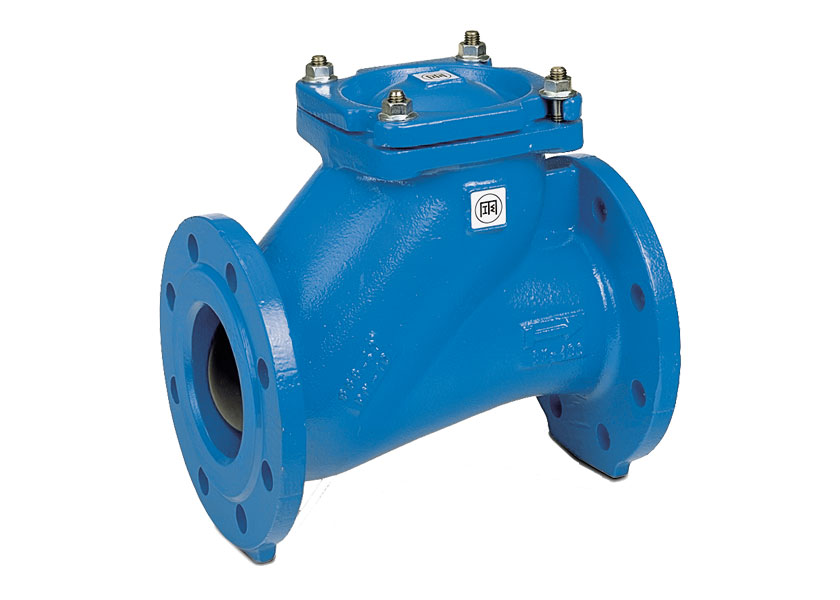 Ball check valve from Erhard
