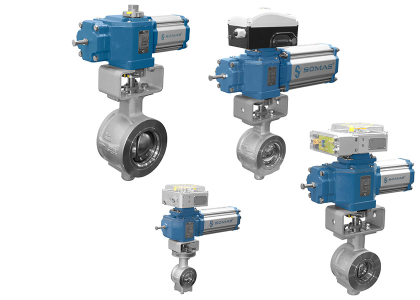 Somas-Ball segment valve, wafer design, short face-to-face dimension-KVTW-D