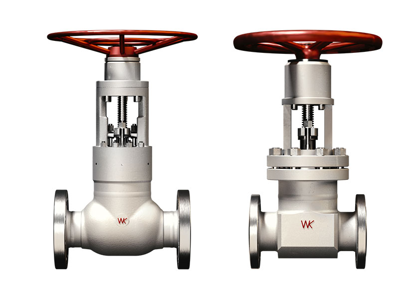 Wakmet-DIN high pressure, double plate wedge gate valve